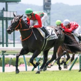 【飯島の土曜競馬コラム・黒松賞】