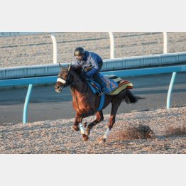 ウッドで好時計をマーク