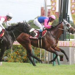 【大谷の土曜競馬コラム・中日新聞杯】