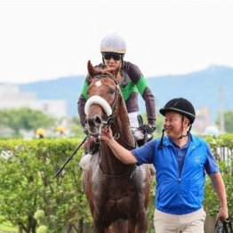 【武田の土曜競馬コラム・中日新聞杯】