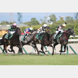 この舞台で小倉記念をレコード勝ち