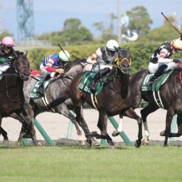 【橘の土曜競馬コラム・中日新聞杯】