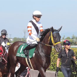 【田中の土曜競馬コラム・中日新聞杯】