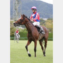 晩成の血が開花してきた