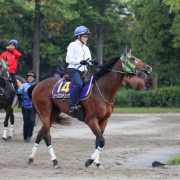 【藤岡の土曜競馬コラム・中日新聞杯】