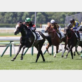 函館で新馬勝ち