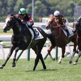【東京本紙・外山の土曜中山９Ｒ】