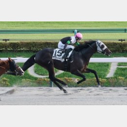 前々走で１勝クラスを卒業