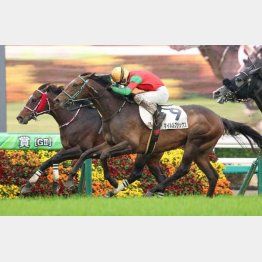 今回は２勝クラス勝ち当時と同じコース