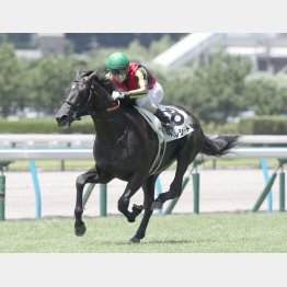 潜在能力の高さは疑う余地なし