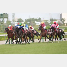 ローズＳでも③着（右から３頭目のオレンジ帽）