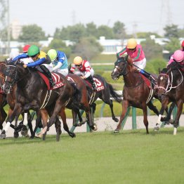 【大阪本紙・弘中の土曜阪神12Ｒ】