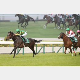 阪神千六のチャールズダウンズＣ勝ち
