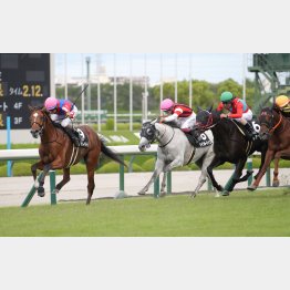 ３勝クラスは１戦で突破した