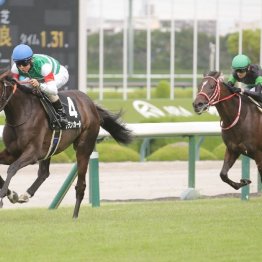 【市川の日曜競馬コラム・阪神ジュベナイルＦ】