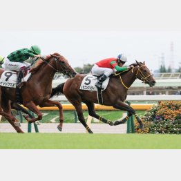 抽選を突破した勢いでＧⅠ獲りへ