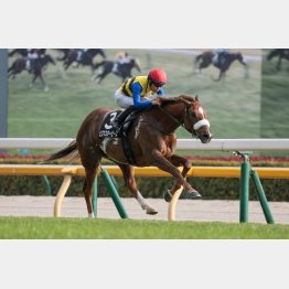 個性ある独特のフォーム