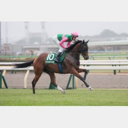 アルテミスＳからさらに進化