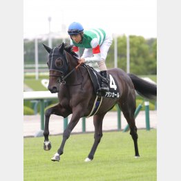 瞬発力の差が歴然