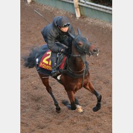 中１週も全く問題なし