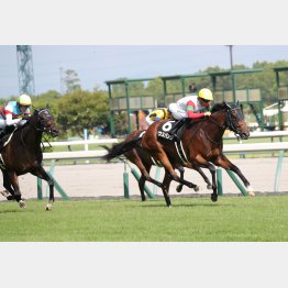 知多特別を逃げ切った