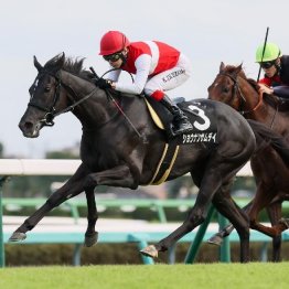 【東京本紙・外山の日曜中山９Ｒ】