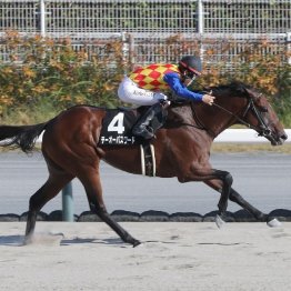 【東京本紙・外山の日曜中山10Ｒ】