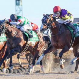【東京本紙・外山のカペラＳ】