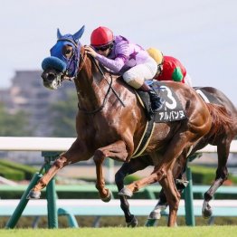【東京本紙・外山の阪神ジュベナイルＦ】