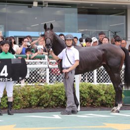 【阪神ジュベナイルＦ】アランカール文句なしの仕上げで好勝負