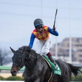 【カペラＳ】テーオーエルビス圧巻の５馬身差Ｖ