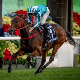 【香港国際競走】凄みを増した地元・香港勢