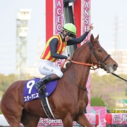 【阪神ジュベナイルＦ】レース後の談話（ネットオリジナルを含む）