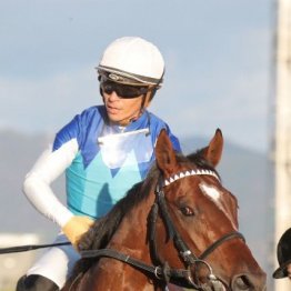 【朝日杯フューチュリティＳ】重賞勝ち馬４頭とハイレベルなメンバー揃う