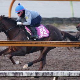【全日本２歳優駿】タマモフリージア無傷の３連勝で２歳王者へ