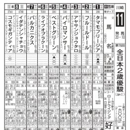 【全日本２歳優駿】タマモフリージア無傷の３連勝で２歳王者へ