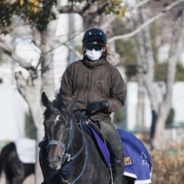【朝日杯フューチュリティＳ】リアライズシリウス休み明けＶ