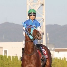 【朝日杯フューチュリティＳ】アドマイヤクワッズ視界良好