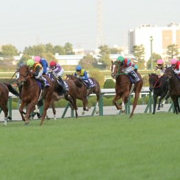 阪神ＪＦ馬スターアニスの少し心配な点