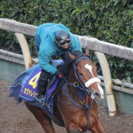 【朝日杯フューチュリティＳ】調教マル得チェック②