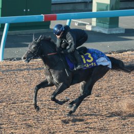 【朝日杯フューチュリティＳ】調教マル得チェック①