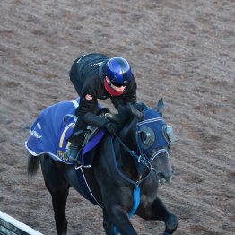 【朝日杯フューチュリティＳ】調教マル得チェック①