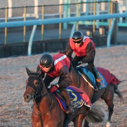 【朝日杯フューチュリティＳ】エコロアルバ３連勝での頂点取りも見えた