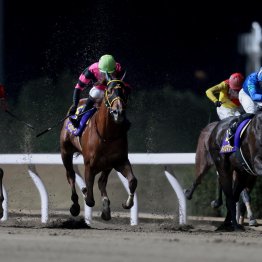 【全日本２歳優駿】パイロマンサー３連勝　レモンポップ、ナルカミに続いてゴドルフィンから楽しみなダート馬が誕生