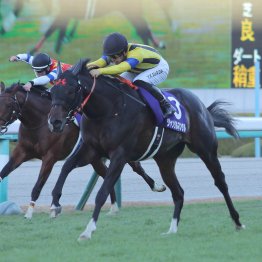 実は平地ＧⅠで丸２年も２枠から勝ち馬が出ていない不思議