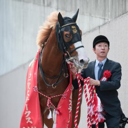 【朝日杯フューチュリティＳ】ダイヤモンドノット　騎手時代に３勝の福永師ダブル制覇へ