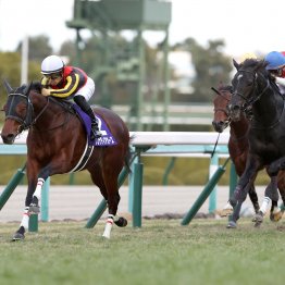 【朝日杯フューチュリティＳ】データ作戦　今年も白帽子が走る！？