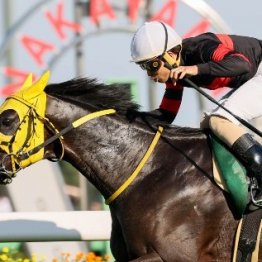 【飯島の土曜競馬コラム・ターコイズＳ】