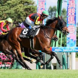 【新居の土曜競馬コラム・ターコイズＳ】