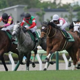 【木津の土曜競馬コラム・ターコイズＳ】